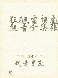 狂飙电视剧免费观看全集张译