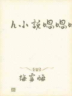 h小说嗯嗯嗯