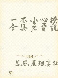 一不小心撩错人全集免费观看短剧