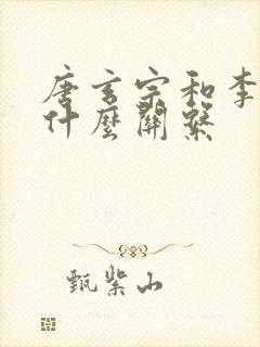 唐玄宗和李世民什么关系