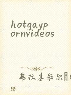 hotgaypornvideos封面