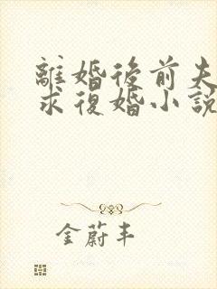 离婚后前夫哭着求复婚小说小说