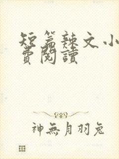 短篇辣文小说免费阅读封面