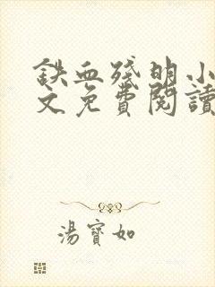 铁血残明小说全文免费阅读