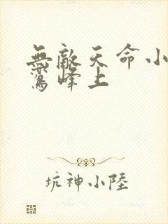 无敌天命小说青鸾峰上