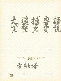 大追捕粤语在线完整免费观看