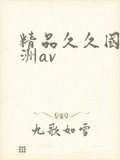 精品久久国产亚洲av