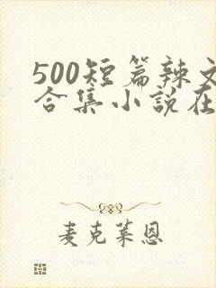 500短篇辣文合集小说在线阅读