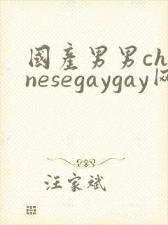 国产男男chinesegaygay网站
