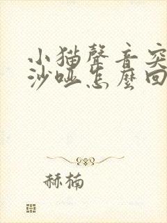 小猫声音突然变沙哑怎么回事封面