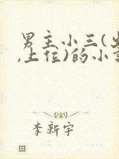 男主小三(出轨,上位)的小说