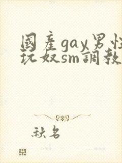 国产gay男性玩奴sm调教视频