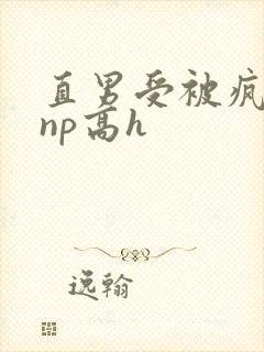 直男受被疯批强np高h封面