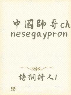 中国帅哥chinesegaypron