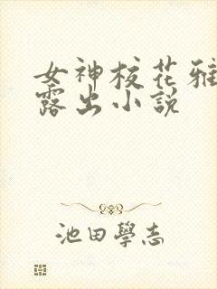 女神校花雅婷的露出小说封面
