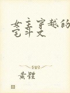 女主穿越的古言宅斗文