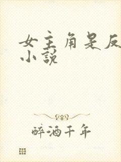 女主角是反派的小说封面