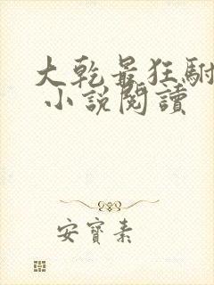 大乾最狂驸马爷 小说阅读