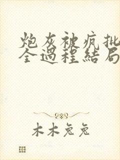 炮灰被疯批爱的全过程结局