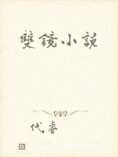 双镜小说
