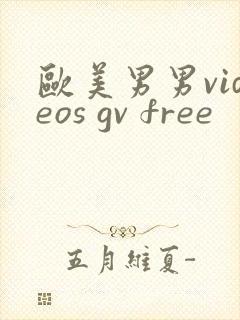 欧美男男videos gv free