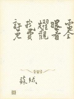 许我耀眼电视剧免费观看全集高清版