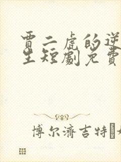 贾二虎的逆袭人生短剧免费观看全集