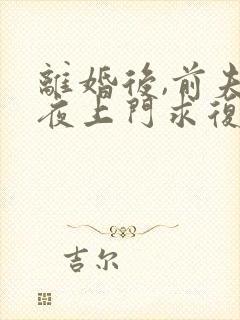 离婚后,前夫连夜上门求复婚