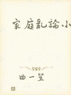 家庭乱论小说