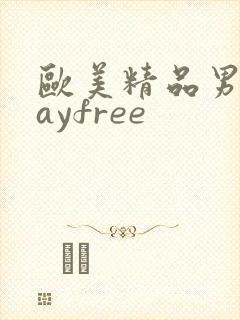 欧美精品男同gayfree