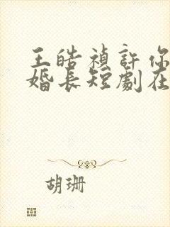 王皓祯许你地久婚长短剧在线观看