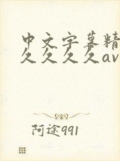中文字幕精品久久久久久av