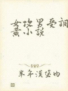 女攻男受调教高黄小说