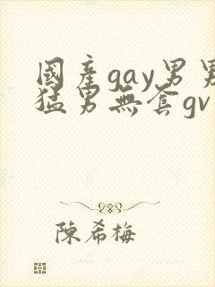 国产gay男男猛男无套gv