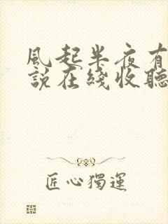 风起半夜有声小说在线收听