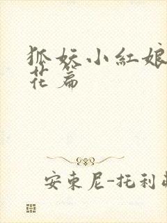 狐妖小红娘两生花篇封面