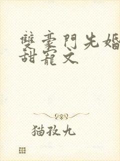 双豪门先婚后爱甜宠文封面