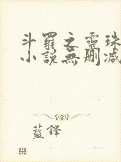斗罗之灵珠神剑小说无删减在线阅读