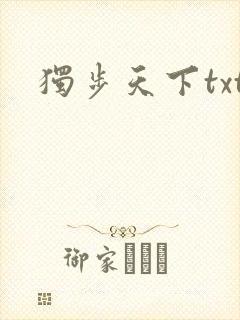 独步天下txt