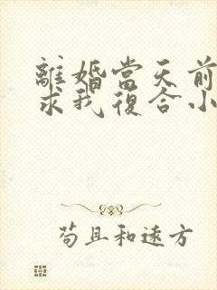 离婚当天前夫跪求我复合小说全集封面