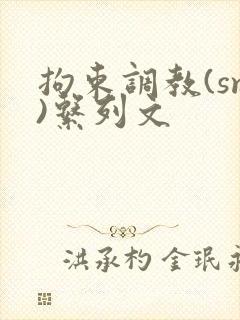 拘束调教(sm)系列文封面