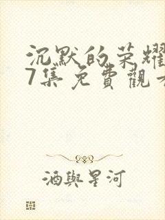 沉默的荣耀第37集免费观看