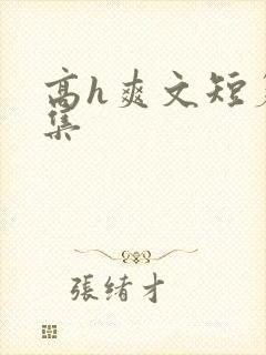 高h爽文短篇合集封面