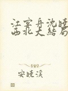 江宴舟沈晓岚大西北大结局
