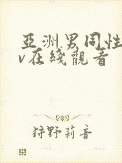 亚洲男同性恋gv在线观看