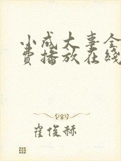小成大事全集免费播放在线观看