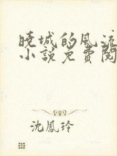 晓城的风流人生小说免费阅读