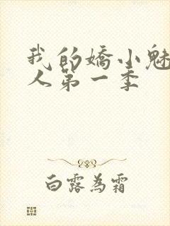 我的娇小魅魔仆人第一季封面