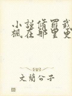 小说修罗武神楚枫在那里更新封面