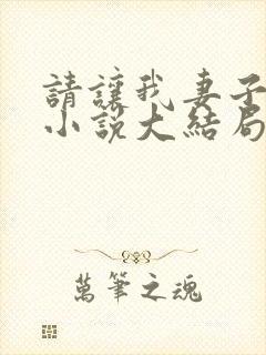 请让我妻子堕落小说大结局